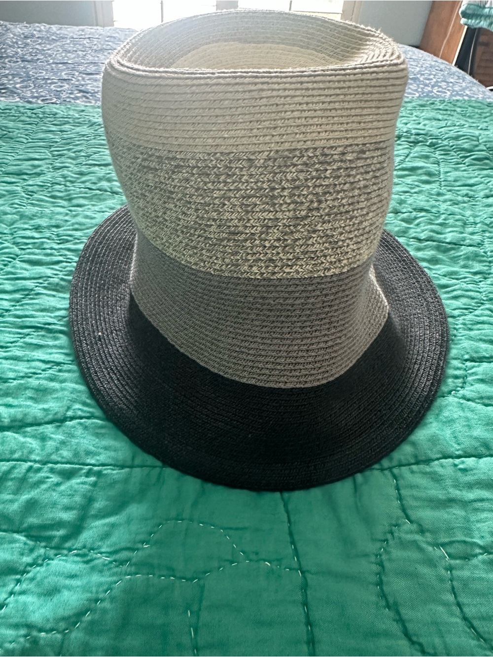 Eugenia Kim Two-Tone Straw Fedora in Black and Beige